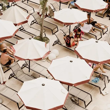 Ξενοδοχείο Flower & Golem (Tirana)