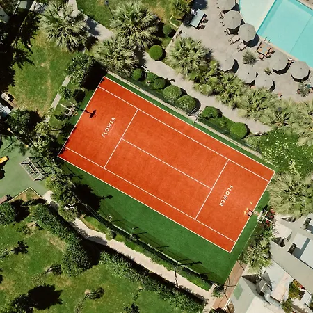 Ξενοδοχείο Flower & Golem (Tirana)