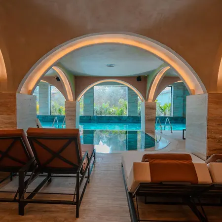 Flower & Ξενοδοχείο Golem (Tirana)